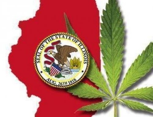 CANNABIS USE LAW COULD MEAN JOB GROWTH THROUGHOUT ILLINOIS